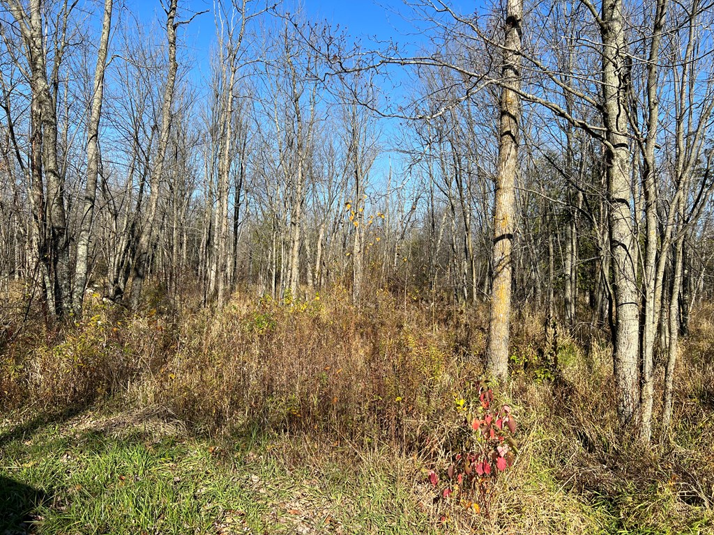 Lot 1 County Rd X, Brussels, Wisconsin 54204, ,Inland Vacant Land,For Sale,County Rd X,138877