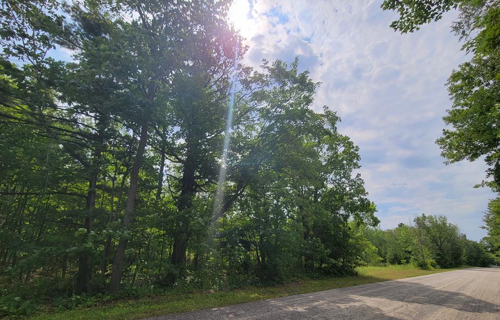 TBD Wayside Rd, Egg Harbor, Wisconsin 54209, ,Inland Vacant Land,For Sale,Wayside Rd,139645