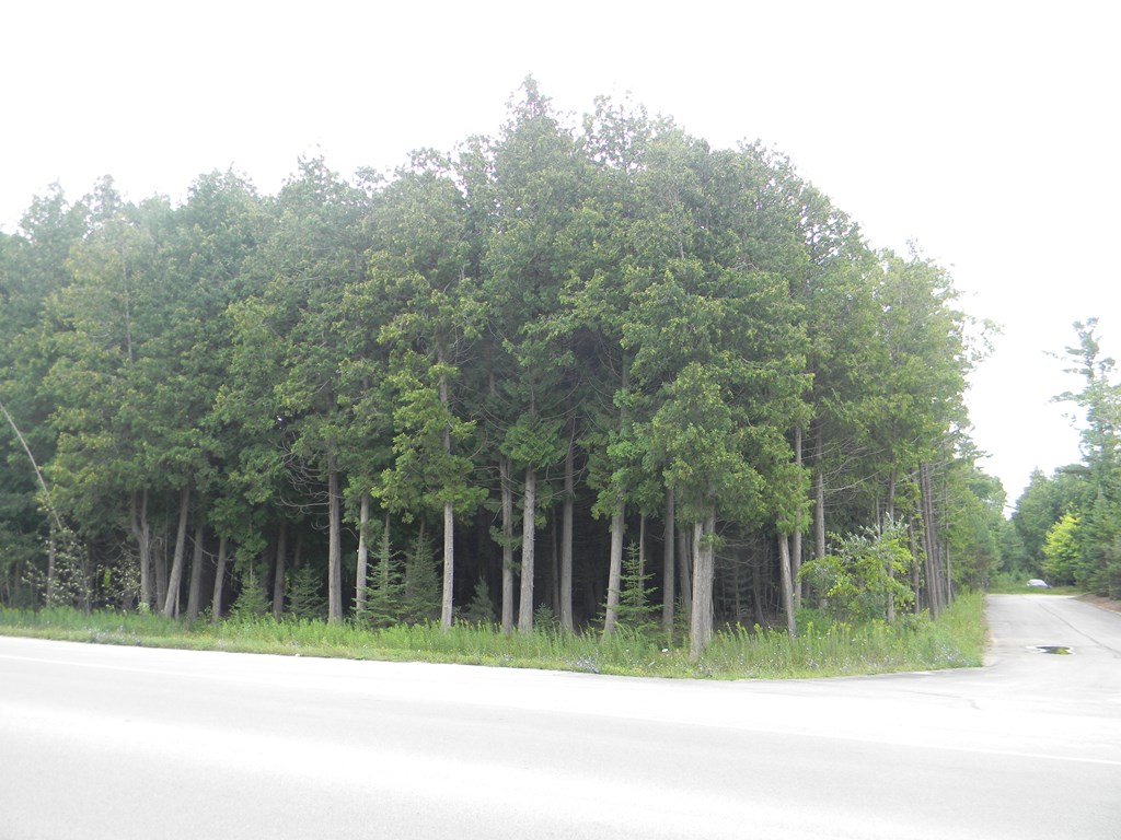 TBD Hwy 42, Fish Creek, Wisconsin 54212, ,Inland Vacant Land,For Sale,Hwy 42,140884