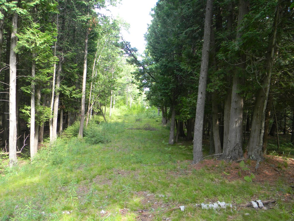 TBD Hwy 42, Fish Creek, Wisconsin 54212, ,Inland Vacant Land,For Sale,Hwy 42,140884