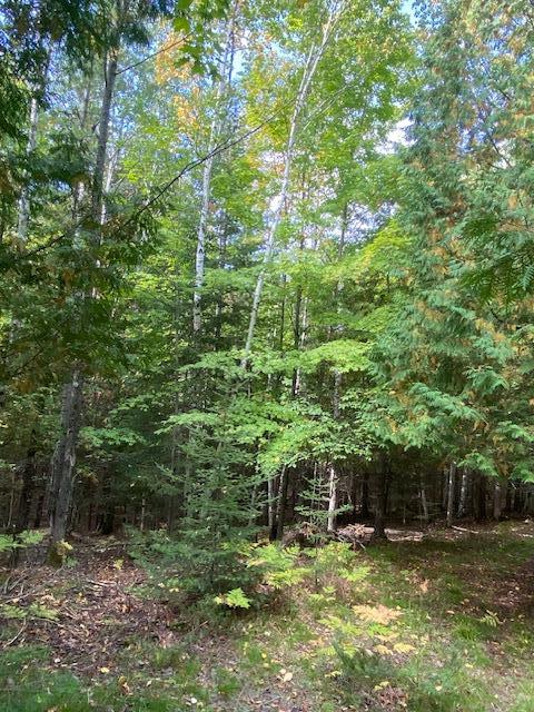 8869 County Rd A, Fish Creek, Wisconsin 54212, ,Inland Vacant Land,For Sale,County Rd A,141039