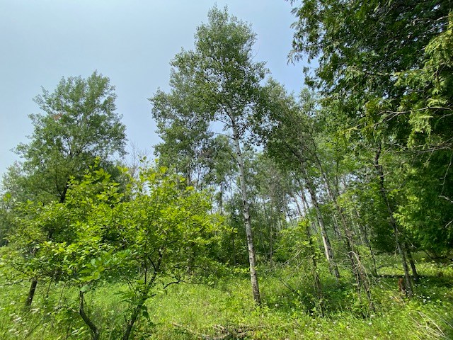 Lot 2 County Rd A, Fish Creek, Wisconsin 54212, ,Inland Vacant Land,For Sale,County Rd A,141041