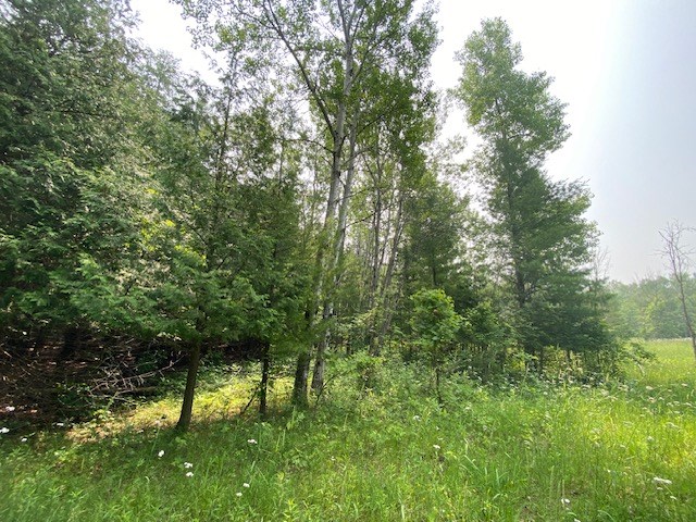 Lot 2 County Rd A, Fish Creek, Wisconsin 54212, ,Inland Vacant Land,For Sale,County Rd A,141041