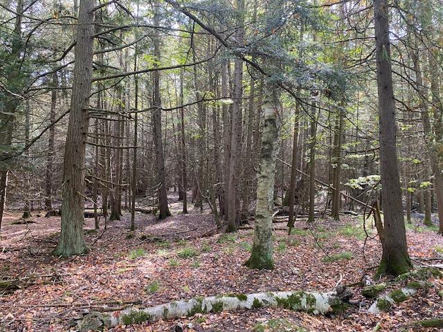 Lot 1 County Rd A, Fish Creek, Wisconsin 54212, ,Inland Vacant Land,For Sale,County Rd A,141042
