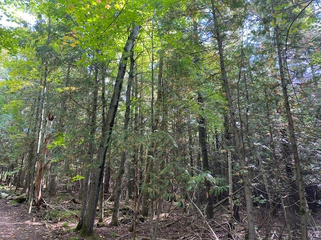 Lot 1 County Rd A, Fish Creek, Wisconsin 54212, ,Inland Vacant Land,For Sale,County Rd A,141042