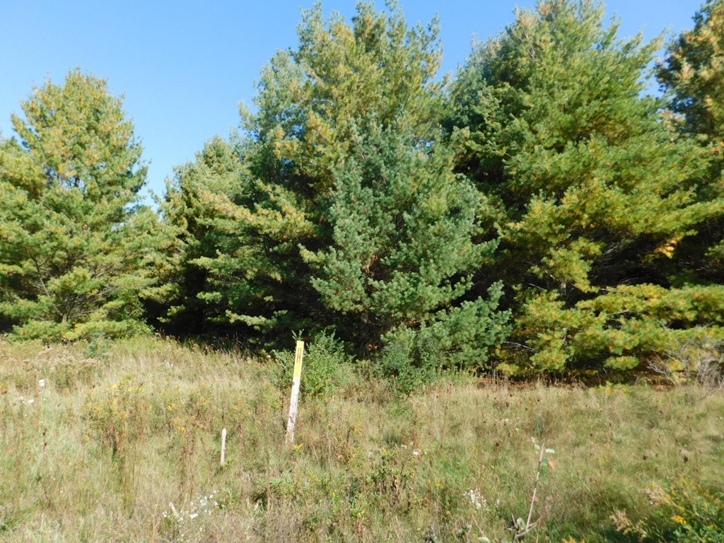 Lot 8 Meadow View Ct, Sturgeon Bay, Wisconsin 54235, ,Inland Vacant Land,For Sale,Meadow View Ct,141052