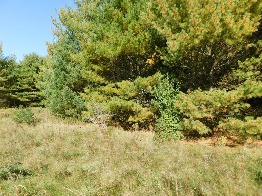 Lot 8 Meadow View Ct, Sturgeon Bay, Wisconsin 54235, ,Inland Vacant Land,For Sale,Meadow View Ct,141052