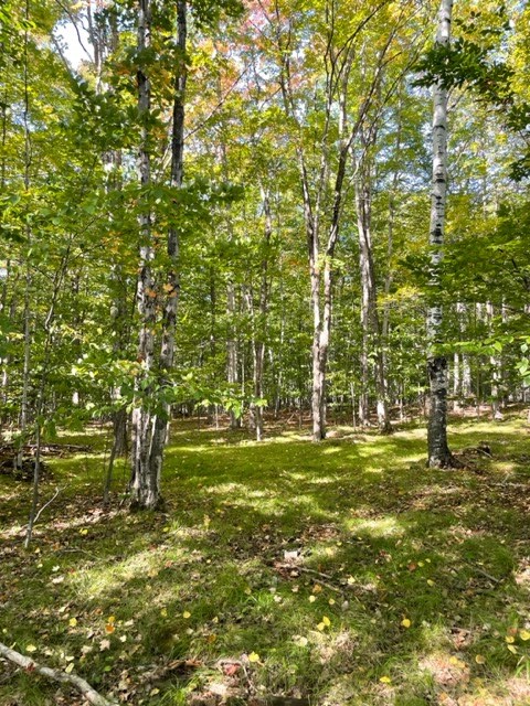 Old Lime Kiln Rd, Sister Bay, Wisconsin 54234, ,Inland Vacant Land,For Sale,Old Lime Kiln Rd,141060