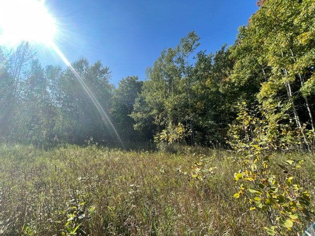 Old Lime Kiln Rd, Sister Bay, Wisconsin 54234, ,Inland Vacant Land,For Sale,Old Lime Kiln Rd,141060