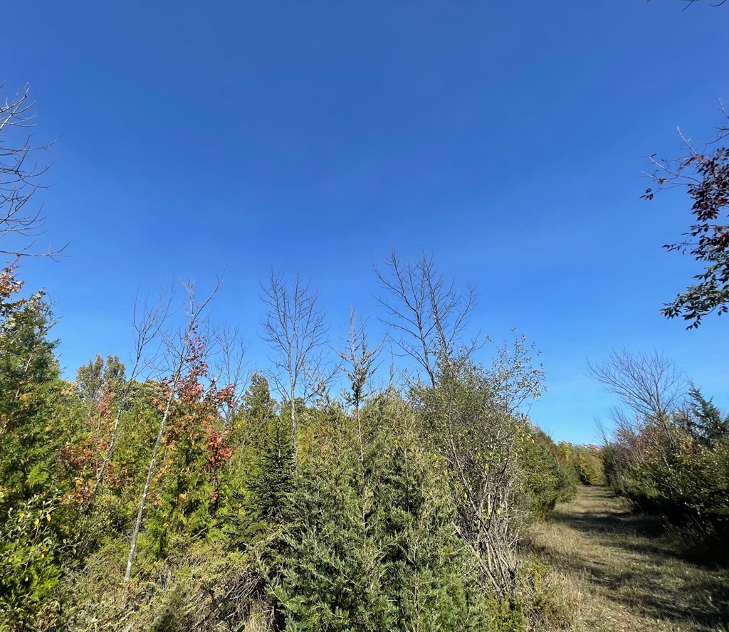 TBD Hwy 42, Sister Bay, Wisconsin 54234, ,Inland Vacant Land,For Sale,Hwy 42,141074
