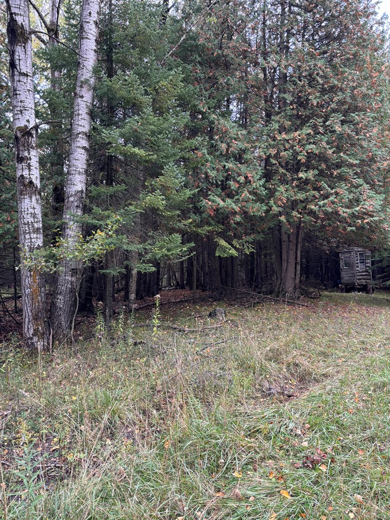 Lot 1 Sleepy Hollow Dr, Sturgeon Bay, Wisconsin 54235, ,Inland Vacant Land,For Sale,Sleepy Hollow Dr,141078