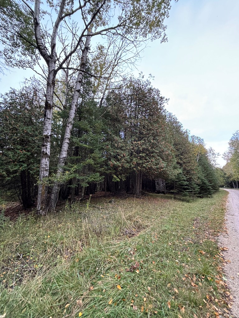 Lot 1 Sleepy Hollow Dr, Sturgeon Bay, Wisconsin 54235, ,Inland Vacant Land,For Sale,Sleepy Hollow Dr,141078