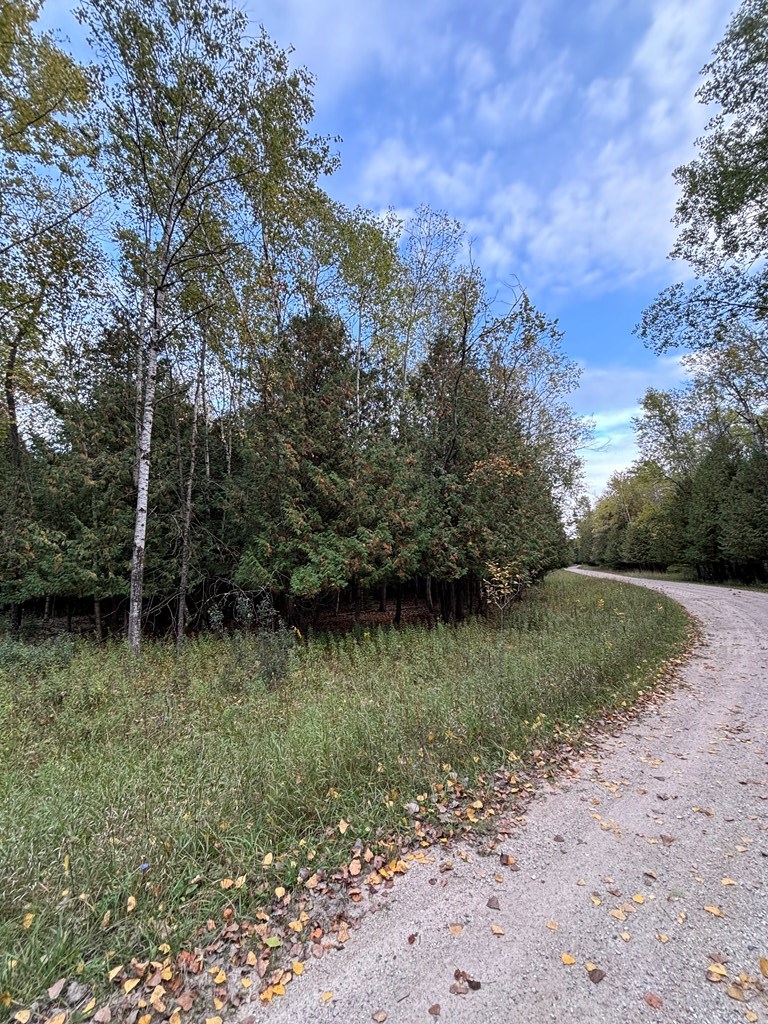 Lot 2 Sleepy Hollow Dr, Sturgeon Bay, Wisconsin 54235, ,Inland Vacant Land,For Sale,Sleepy Hollow Dr,141079