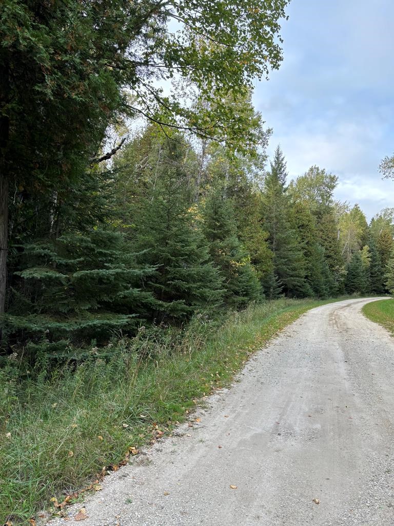 Lot 2 Sleepy Hollow Dr, Sturgeon Bay, Wisconsin 54235, ,Inland Vacant Land,For Sale,Sleepy Hollow Dr,141079