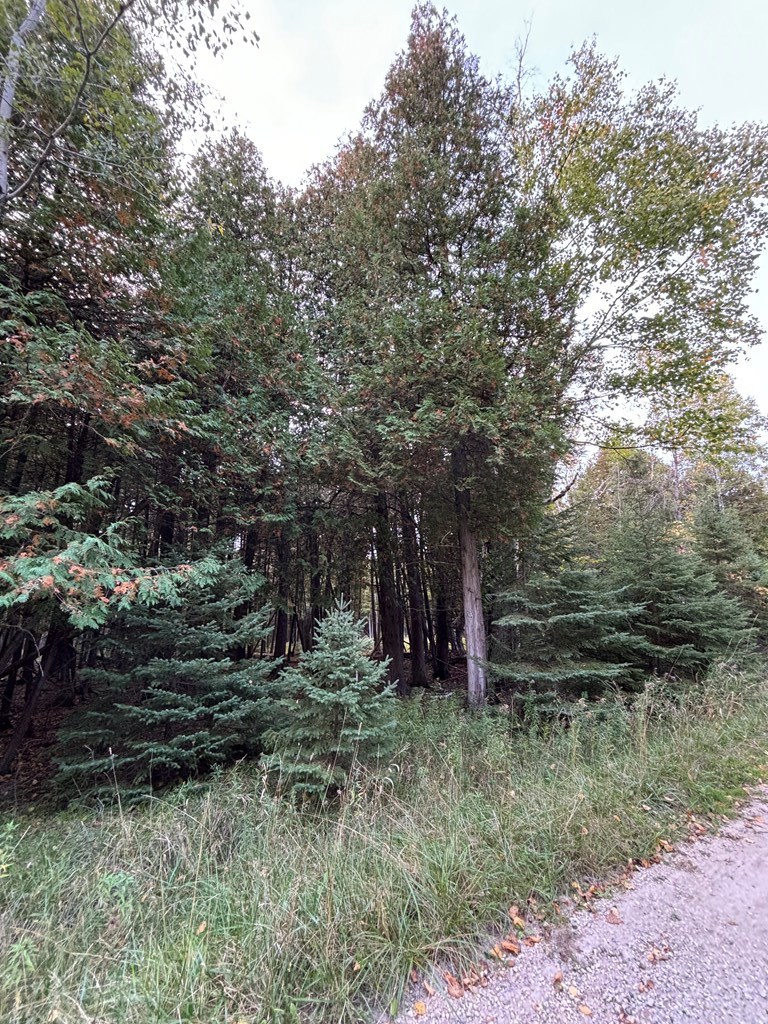 Lot 4 Sleepy Hollow Dr, Sturgeon Bay, Wisconsin 54235, ,Inland Vacant Land,For Sale,Sleepy Hollow Dr,141081