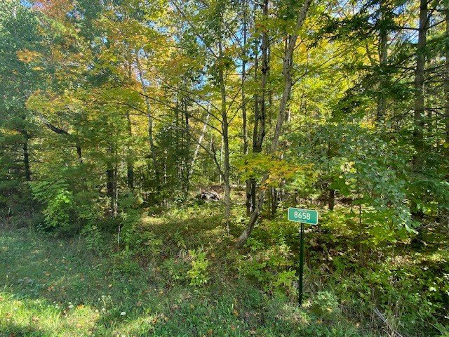 8658 Spring Rd, Fish Creek, Wisconsin 54212, ,Inland Vacant Land,For Sale,Spring Rd,141084