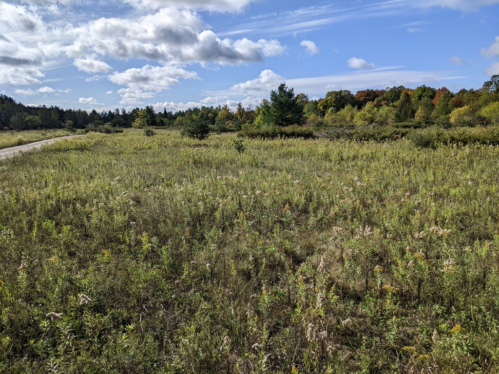 N/A Wild Nest Rd, Fish Creek, Wisconsin 54212, ,Inland Vacant Land,For Sale,Wild Nest Rd,141086