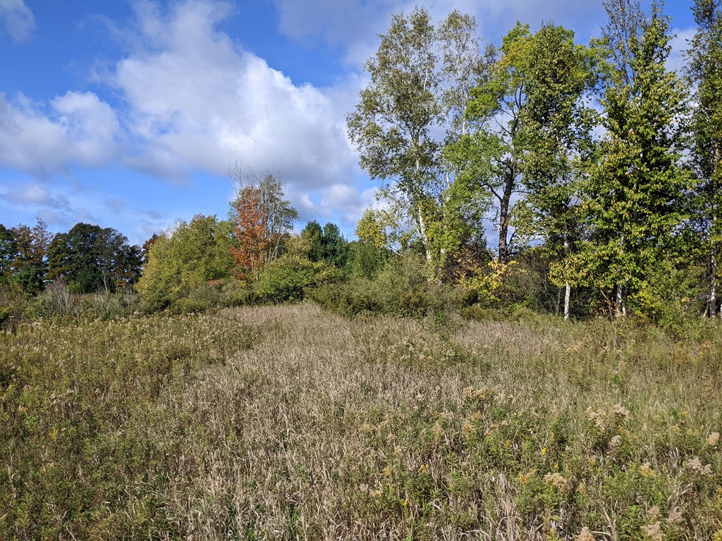 N/A Wild Nest Rd, Fish Creek, Wisconsin 54212, ,Inland Vacant Land,For Sale,Wild Nest Rd,141086