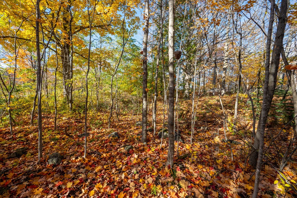 Lot 1 Northwoods Dr, Sister Bay, Wisconsin 54234, ,Inland Vacant Land,For Sale,Northwoods Dr,141136