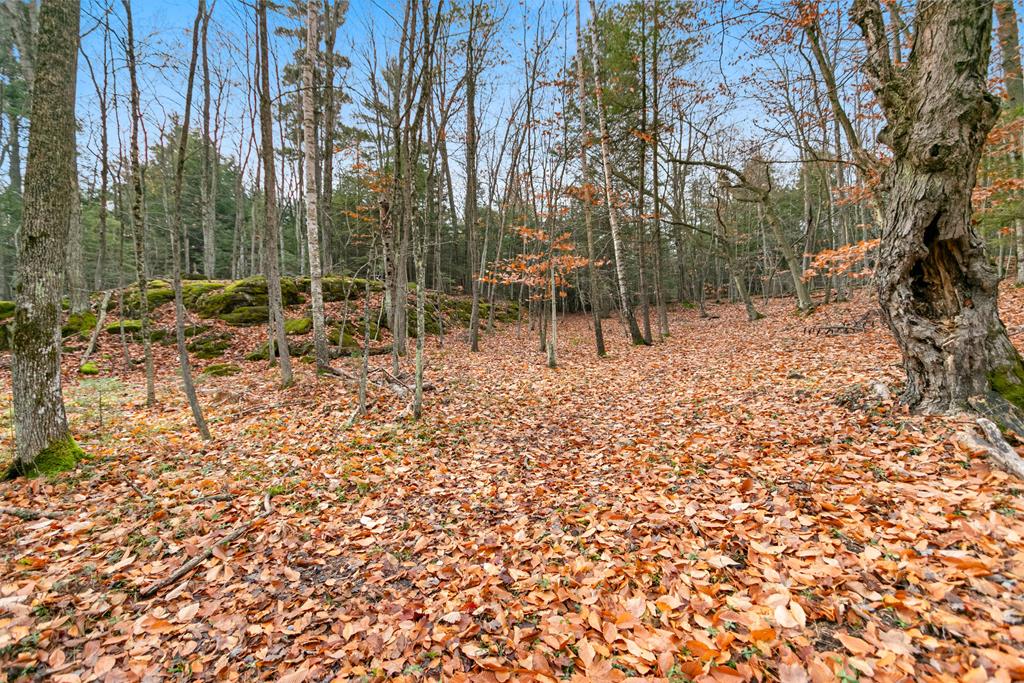 TBD County Rd Q, Baileys Harbor, Wisconsin 54202, ,Inland Vacant Land,For Sale,County Rd Q,141222