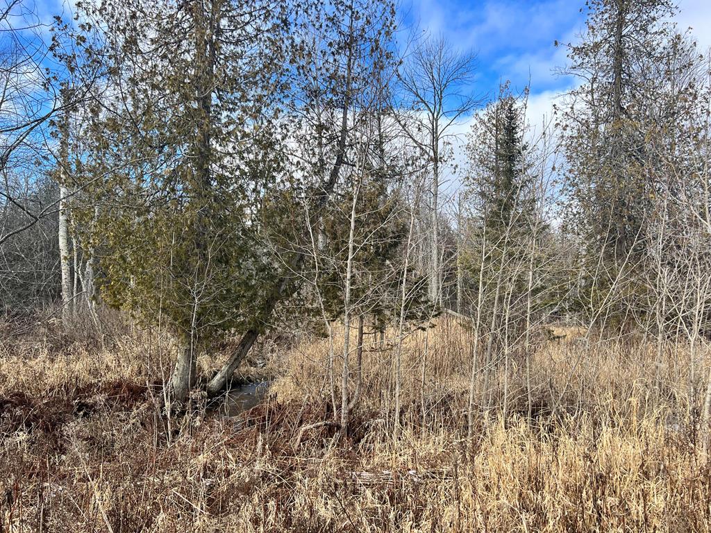 Lake Forest Park Rd, Sturgeon Bay, Wisconsin 54235, ,Inland Vacant Land,For Sale,Lake Forest Park Rd,141287