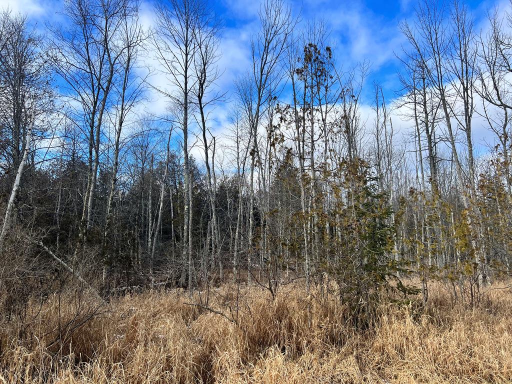 Lake Forest Park Rd, Sturgeon Bay, Wisconsin 54235, ,Inland Vacant Land,For Sale,Lake Forest Park Rd,141287