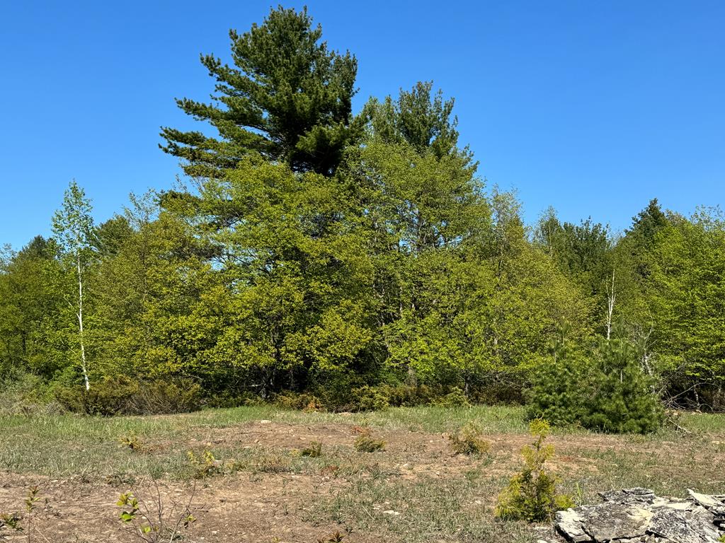 Lot 2 Division Rd, Egg Harbor, Wisconsin 54209, ,Inland Vacant Land,For Sale,Division Rd,141408