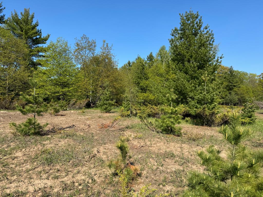 Lot 3 Division Rd, Egg Harbor, Wisconsin 54209, ,Inland Vacant Land,For Sale,Division Rd,141409