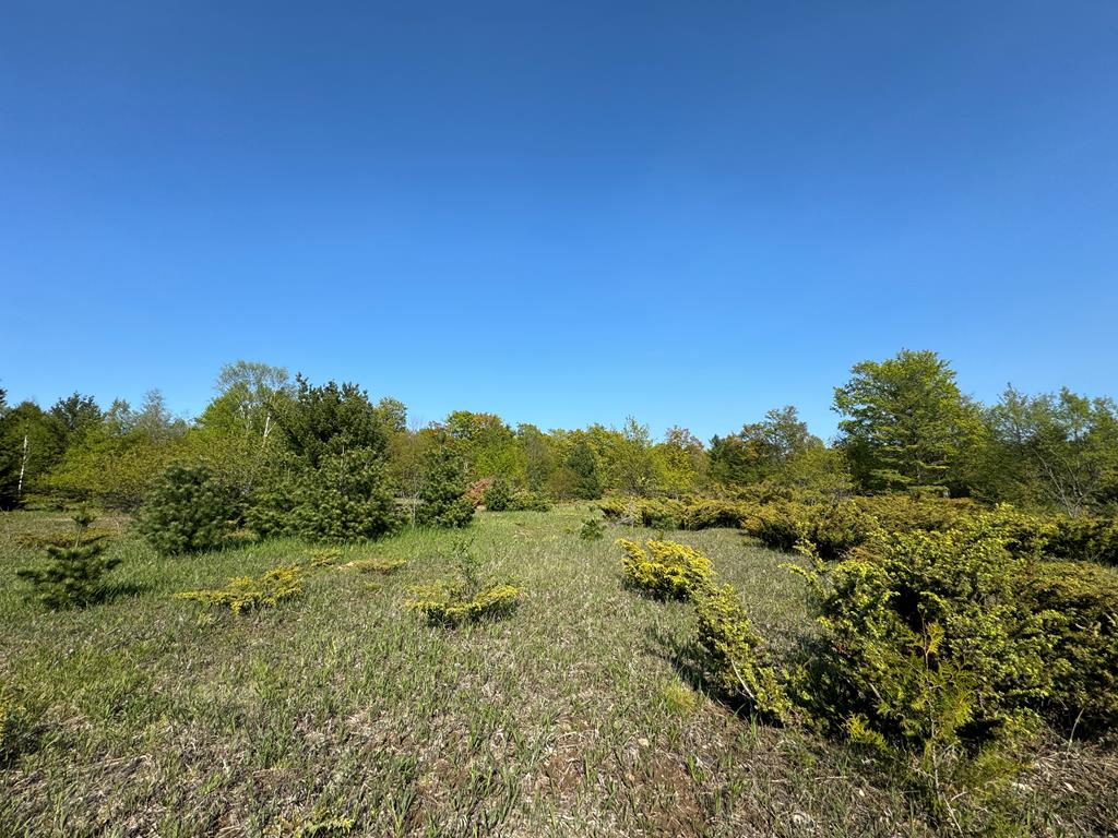 Lot 4 Division Rd, Egg Harbor, Wisconsin 54209, ,Inland Vacant Land,For Sale,Division Rd,141410