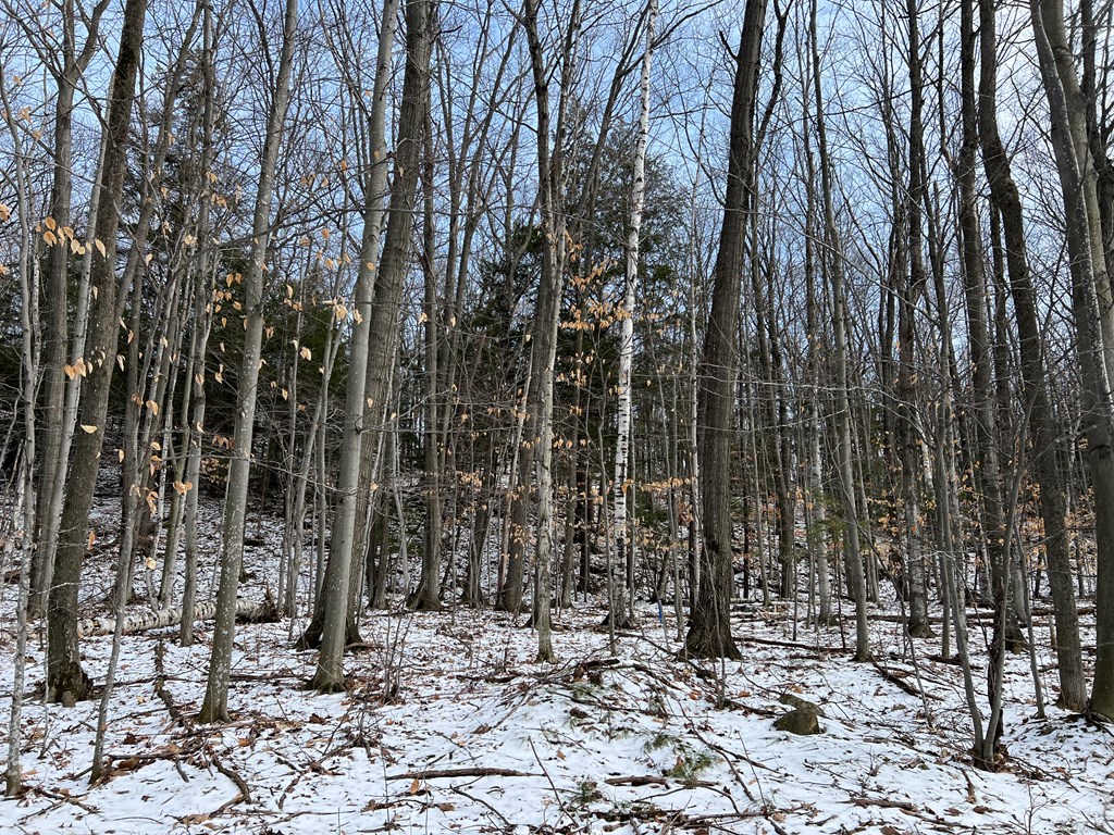 E Spring Ln, Egg Harbor, Wisconsin 54209, ,Inland Vacant Land,For Sale,E Spring Ln,141427