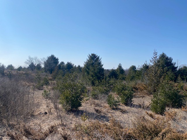 lot 2 County Rd EE, Town of Gibraltar, Wisconsin 54202, ,Inland Vacant Land,For Sale,County Rd EE,141432