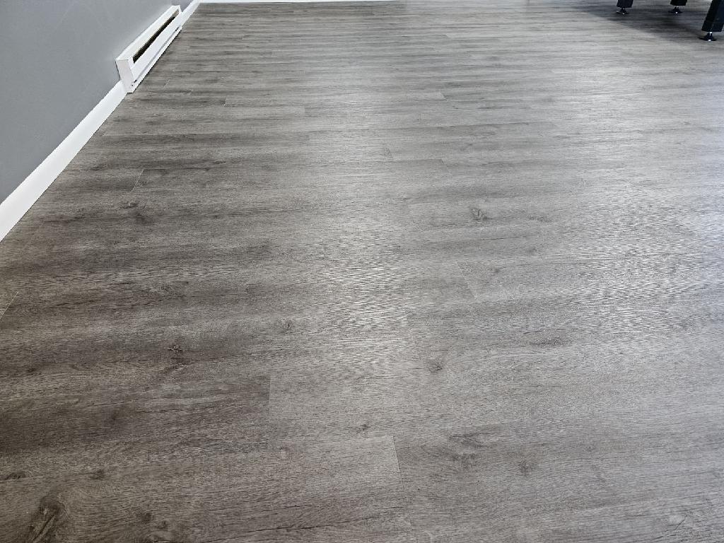 Updated Flooring in Rec Room