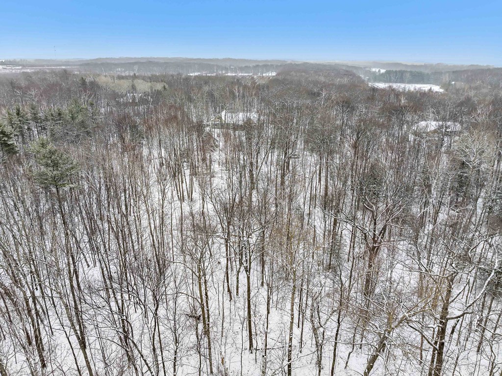 Old Orchard Rd, Town of Liberty Grov, Wisconsin 54210, ,Inland Vacant Land,For Sale,Old Orchard Rd,141484