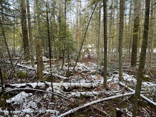 Sunset Dr, Baileys Harbor, Wisconsin 54202, ,Inland Vacant Land,For Sale,Sunset Dr,141245