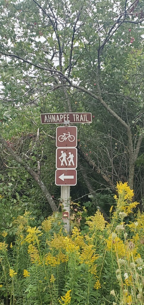 Local trail