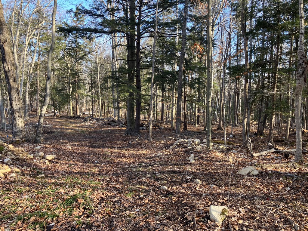 TBD Newman Way, Gills Rock, Wisconsin 54210, ,Inland Vacant Land,For Sale,Newman Way,141518