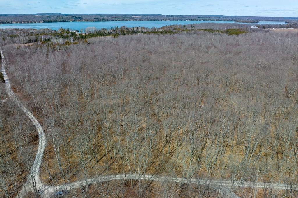 t/b/d All Creatures Ln, Baileys Harbor, Wisconsin 54202, ,Inland Vacant Land,For Sale,All Creatures Ln,141532