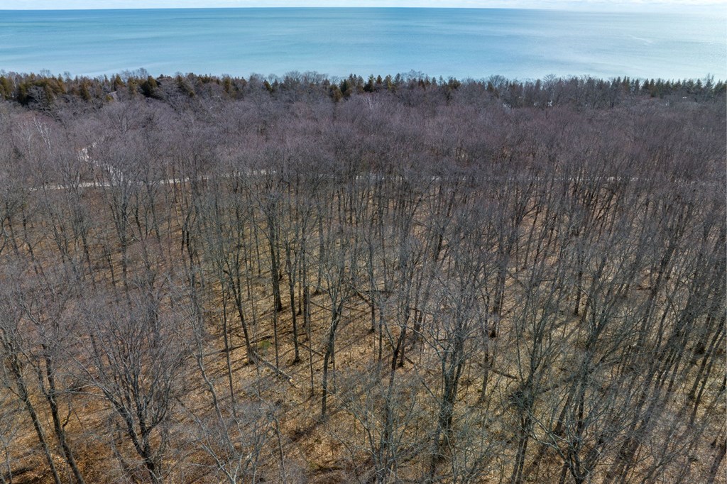 t/b/d All Creatures Ln, Baileys Harbor, Wisconsin 54202, ,Inland Vacant Land,For Sale,All Creatures Ln,141533