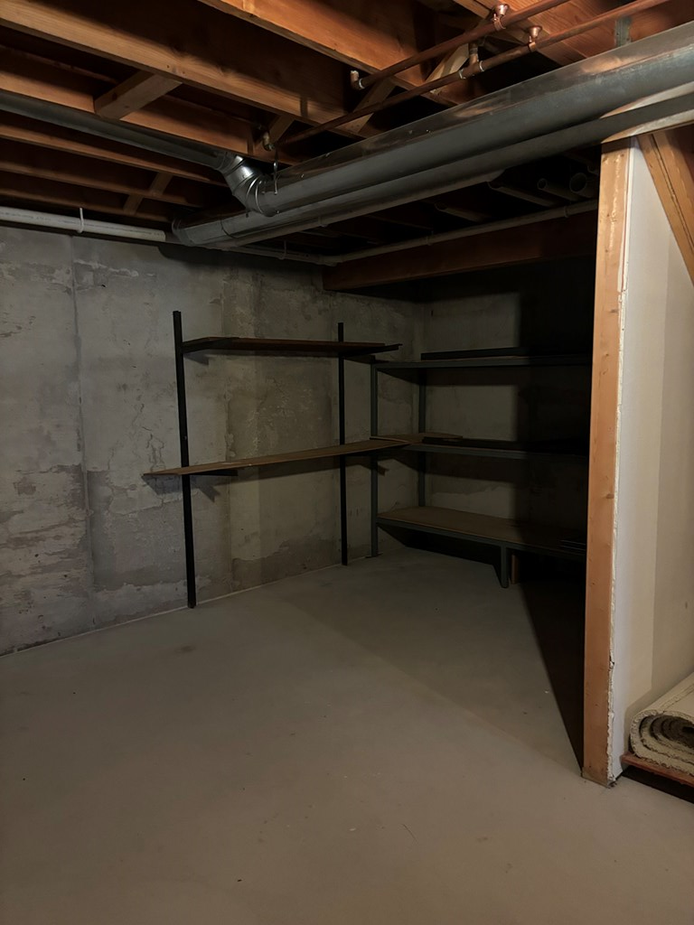 Storage in basement