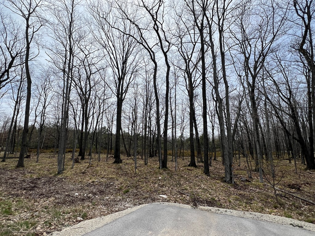 Lot 4 Cottage Bluff Ln, Fish Creek, Wisconsin 54212, ,Inland Vacant Land,For Sale,Cottage Bluff Ln,141578