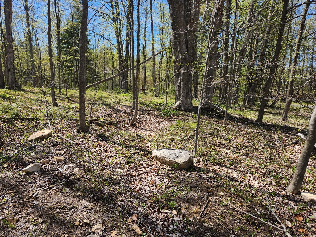TBD Old Stage Rd, Sister Bay, Wisconsin 54234, ,Inland Vacant Land,For Sale,Old Stage Rd,141619