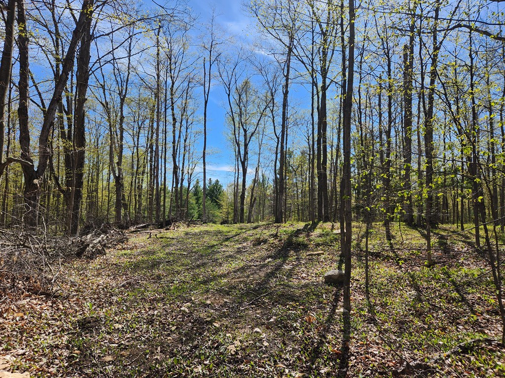 TBD Old Stage Rd, Sister Bay, Wisconsin 54234, ,Inland Vacant Land,For Sale,Old Stage Rd,141619