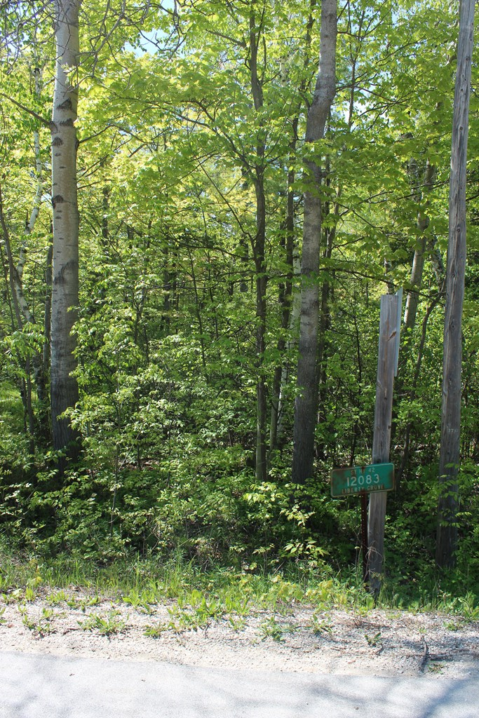 12083 Hwy 42, Ellison Bay, Wisconsin 54210, ,Inland Vacant Land,For Sale,Hwy 42,141693