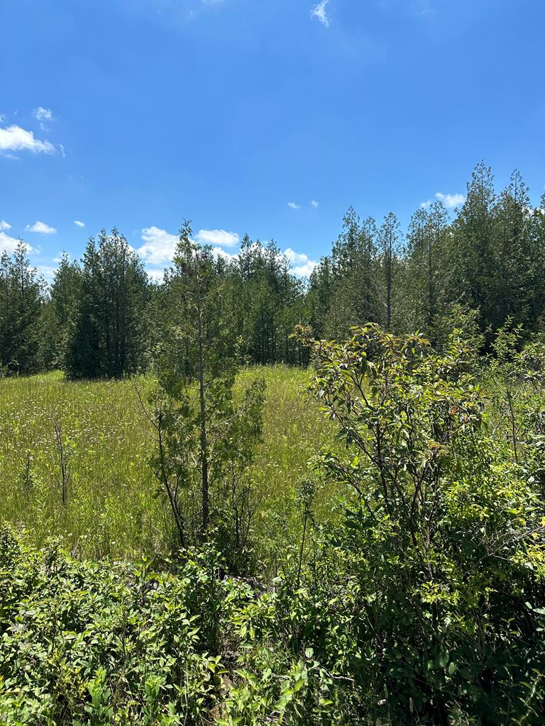 Lot #2 Grove Rd, Baileys Harbor, Wisconsin 54202, ,Inland Vacant Land,For Sale,Grove Rd,141876