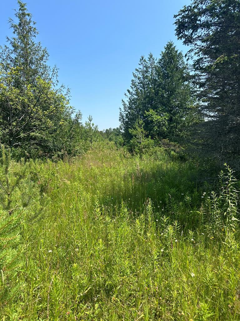 Lot #3 Grove Rd, Baileys Harbor, Wisconsin 54202, ,Inland Vacant Land,For Sale,Grove Rd,141877