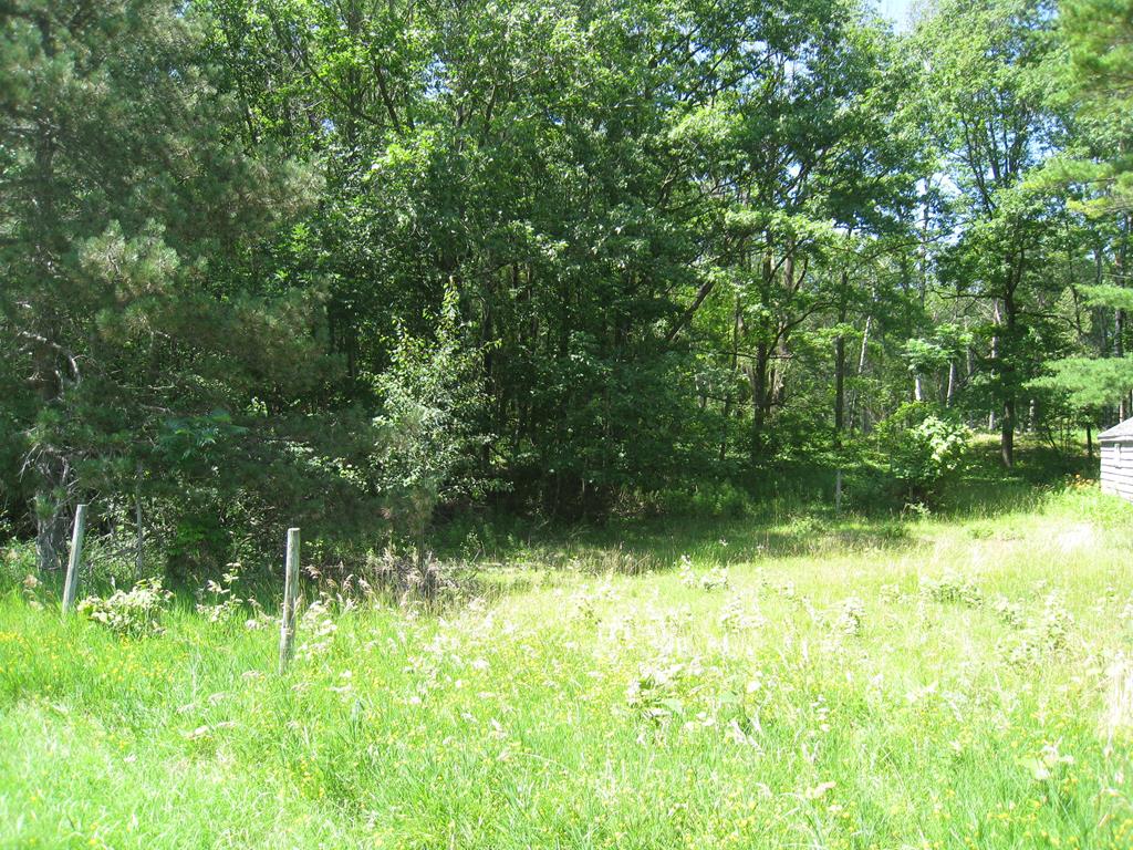 9050 Lime Kiln Rd, Sturgeon Bay, Wisconsin 54235, ,Inland Vacant Land,For Sale,Lime Kiln Rd,141922