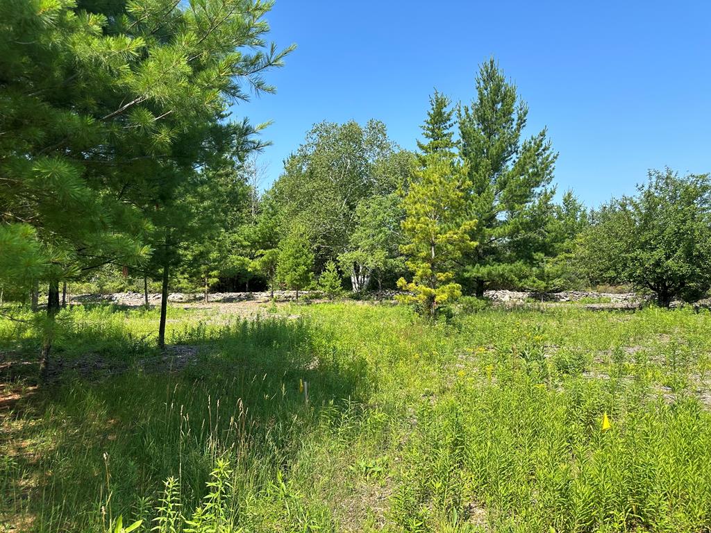 9113 Wandering Down Rd, Town of Gibraltar, Wisconsin 54212, ,Inland Vacant Land,For Sale,Wandering Down Rd,141931