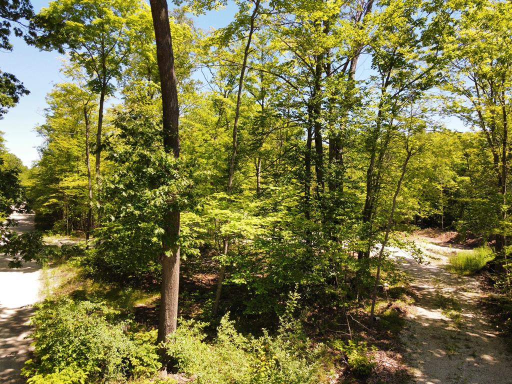 10240 Settlement Ln, Sister Bay, Wisconsin 54234, ,Inland Vacant Land,For Sale,Settlement Ln,142959